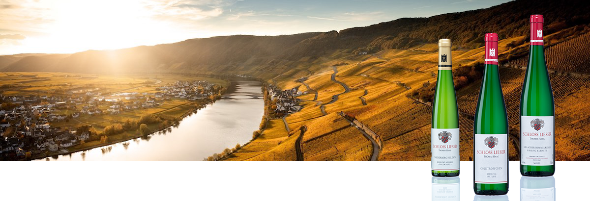 Weingut Schloss Lieser von Thomas Haag and der Mosel. Eines der Besten Weinguetern Deutschlands