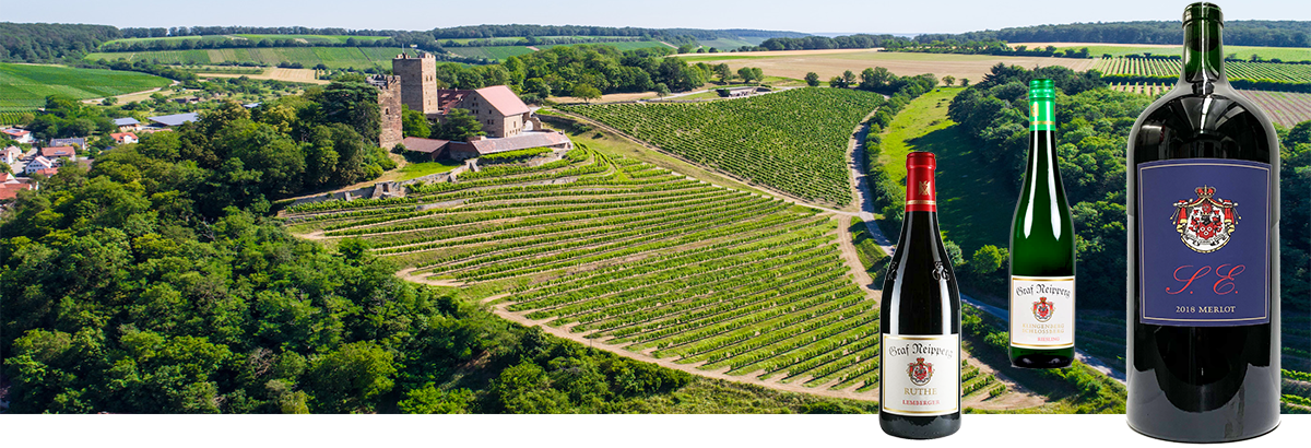 Graf Neipperg, Württemberg Spitzenweine. Riesling GG, Lemberger GG. Aber Schwaigerner Ruthe oder Neipperger Schlossberg. Sondern Klingenberger Schlossberg Riesling. Aber auch Grosses Gewächs, Grosse Gewächse, Grosse Lage. VDP Große Lage, sondern Erbgraf Neipperg Blaufränkisch. Trollinger Spätburgunder Merlot Cabernet. Cabernet Sauvignon sondern Cabernet Franc oder Syrah. Shiraz. Grossflasche. S.E. Spitzenweine Württemberg kaufen. sondern Deutscher Rotweinpreis Best of Württemberg Weinhaus. Weinshop. Aber Weine kaufen. Graf Neipperg Spitzenweine Württemberg Grosses Gewächs Lemberger GGGraf Neipperg Spitzenweine Württemberg Grosses Gewächs Lemberger GG Graf Neipperg Spitzenweine Württemberg Grosses Gewächs Lemberger GG. Graf Neipperg Graf Neipperg Graf Neipperg. Aber Graf Neipperg, sondern Graf Neipperg. Graf Neipperg. Graf Neipperg, Graf Neipperg. Sondern, aber